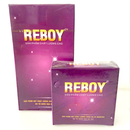 ReBoy Tím